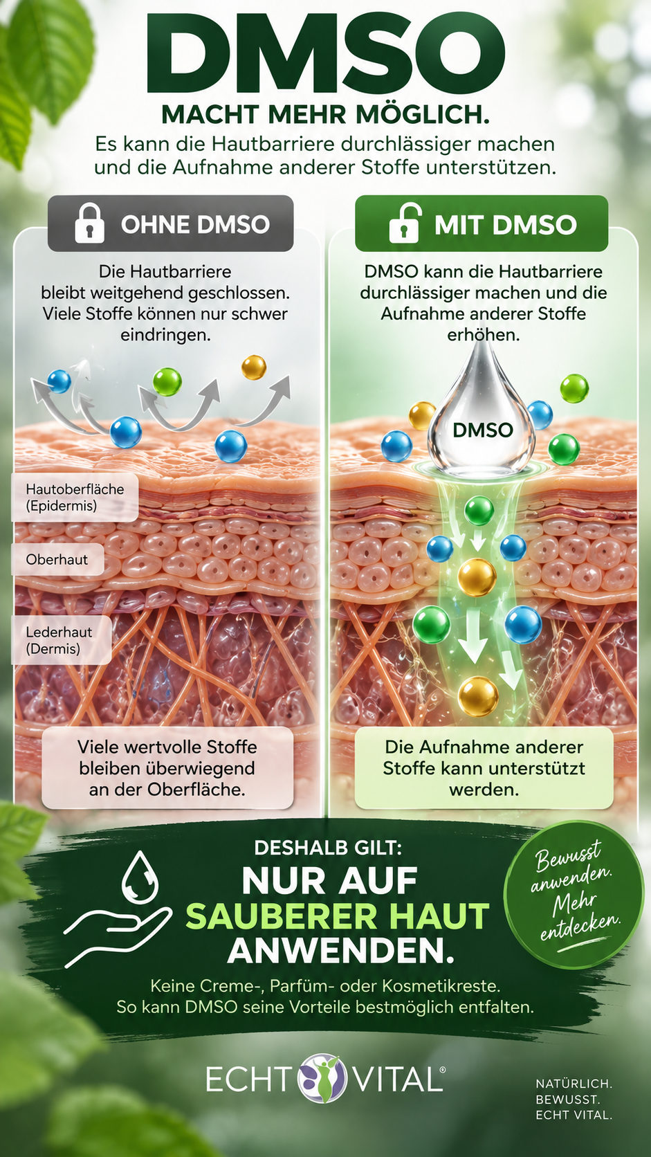 Grafik aus dem Kurzratgeber: die Hautbarriere ohne DMSO und mit DMSO