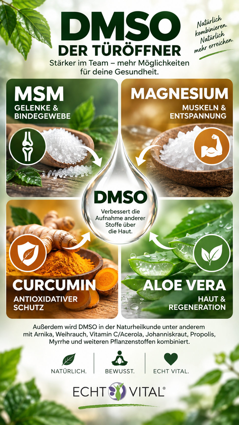 Grafik aus dem Kurzratgeber: DMSO als Kombinationspartner mit MSM, Magnesium, Curcumin und Aloe Vera