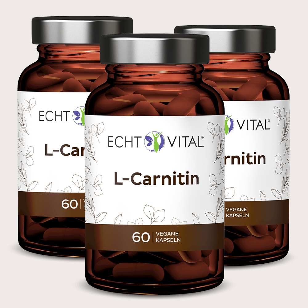 L-Carnitin - 3 Gläser mit 60 Kapseln
