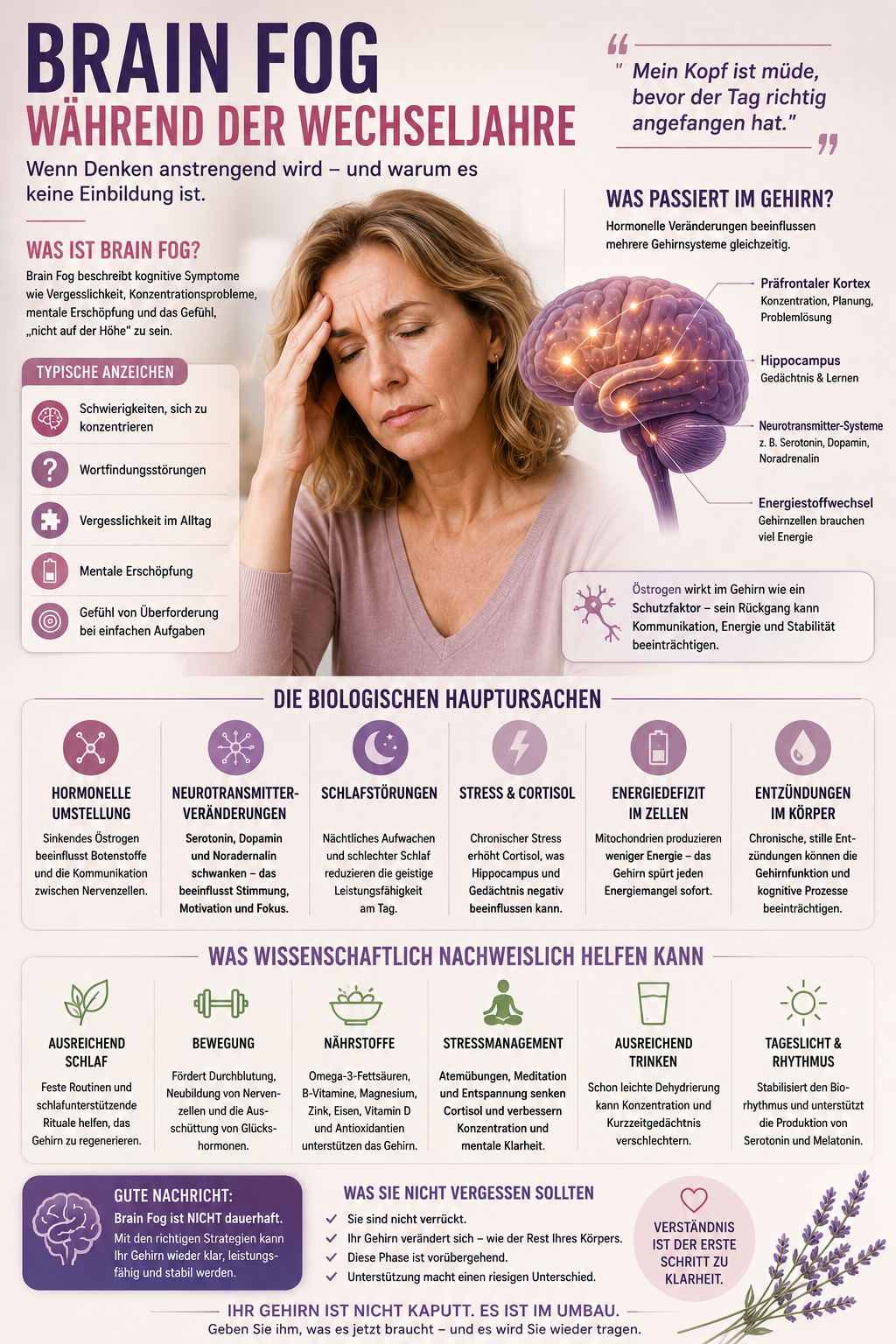 Brain Fog während der Wechseljahre und seine biologischen Ursachen