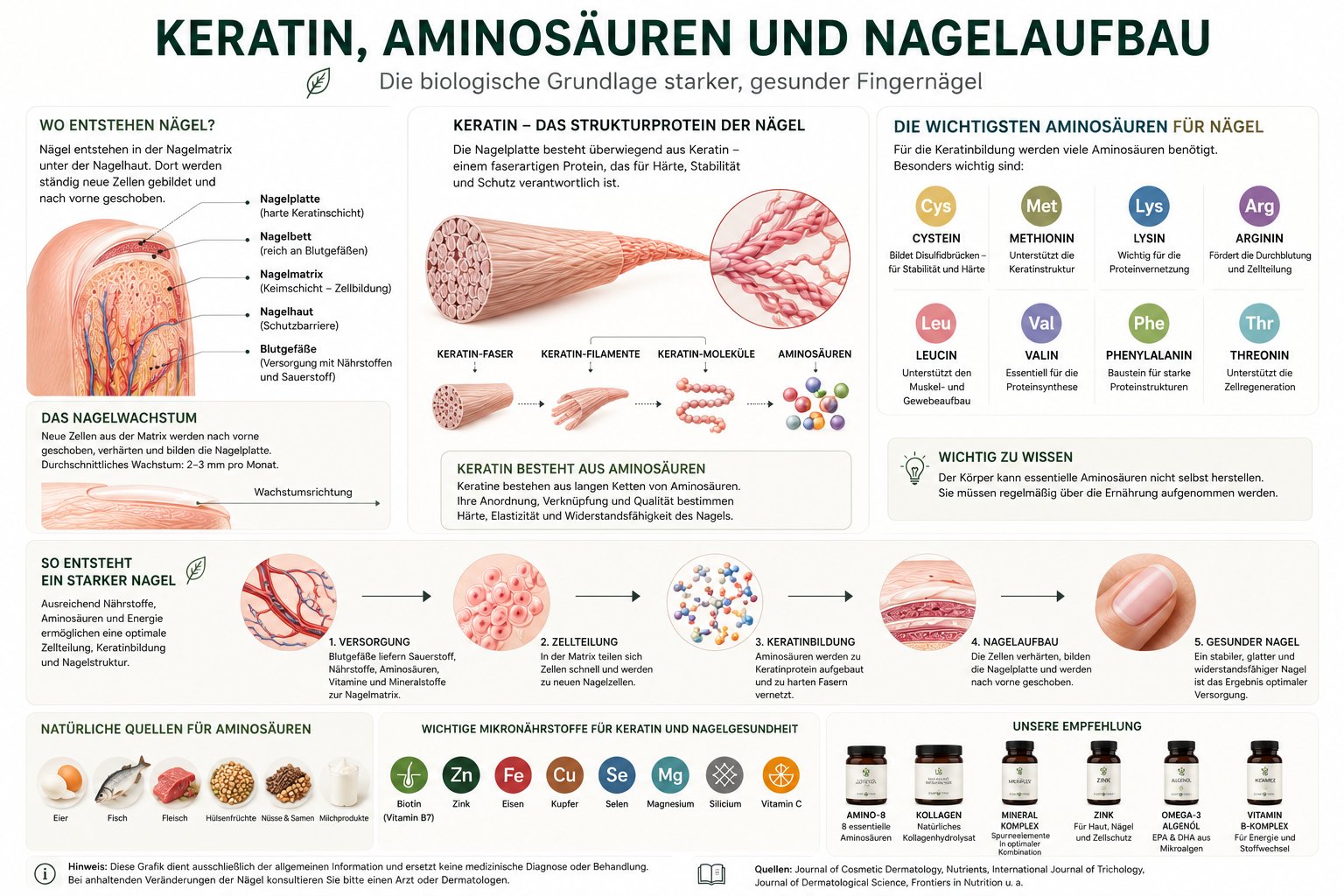 Grafik zu Keratin, Aminosäuren und Nagelaufbau