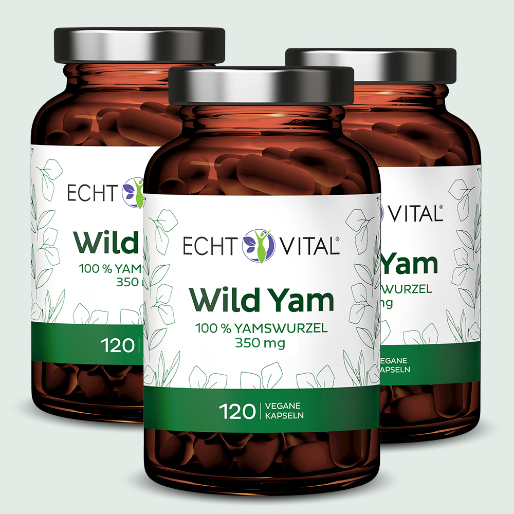 Wild Yam - 3 Gläser mit je 120 Kapseln