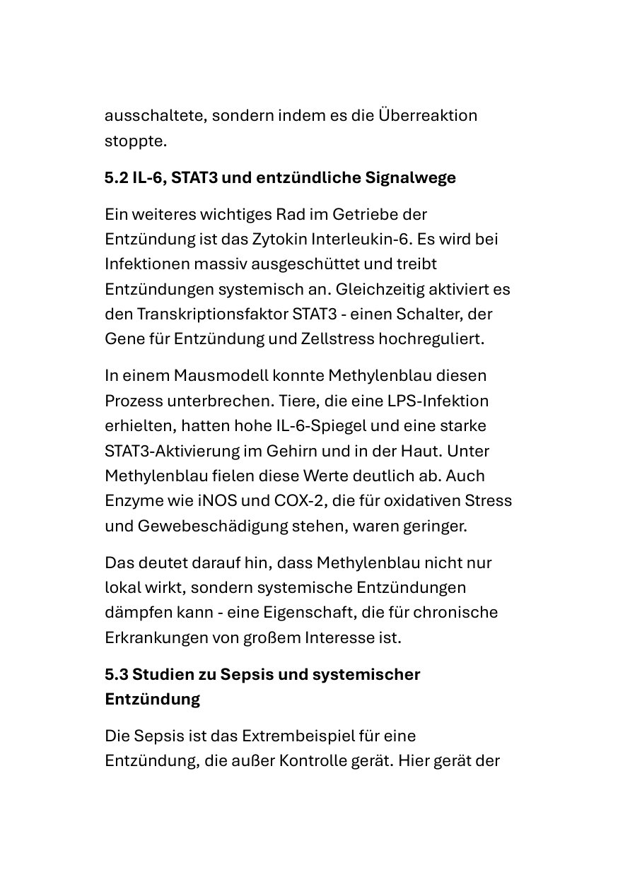 Seite 5