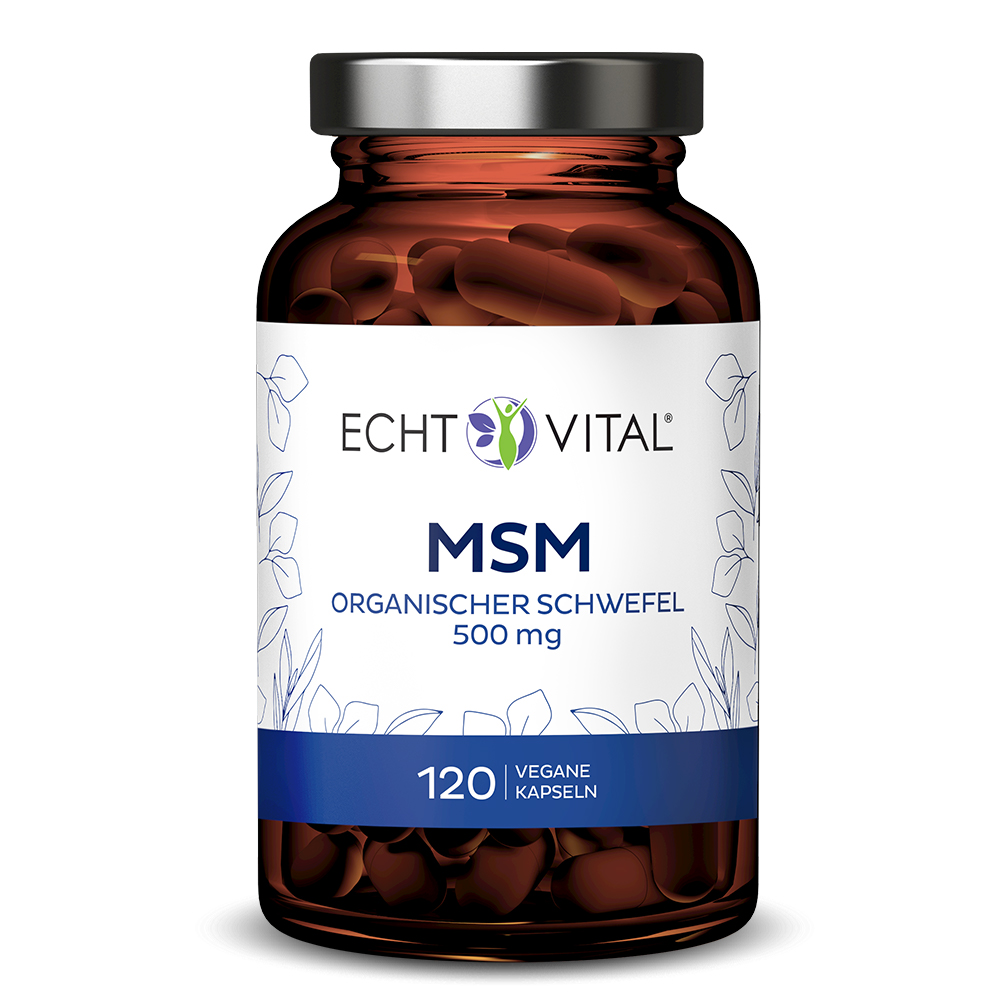 MSM-Kapseln-1er-250x250