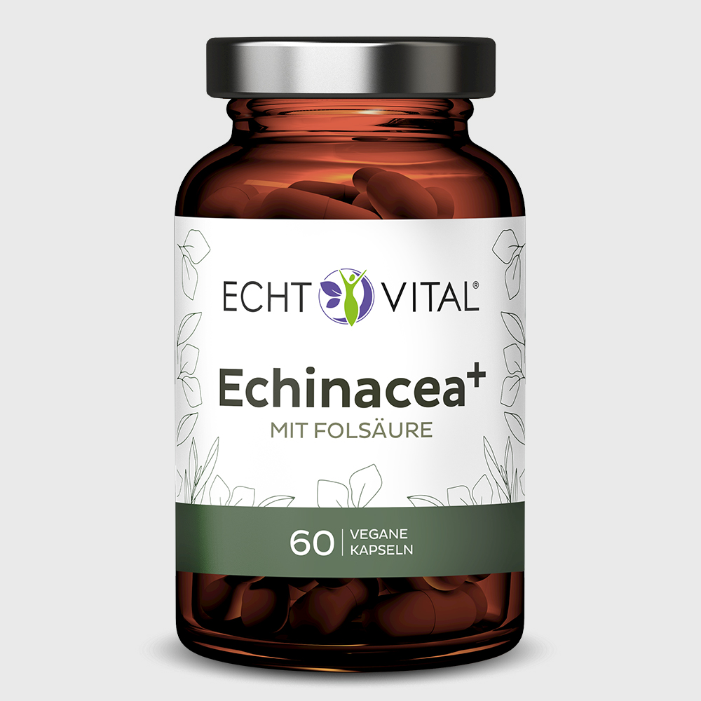 Echinacea+ - 1 Glas mit 60 Kapseln