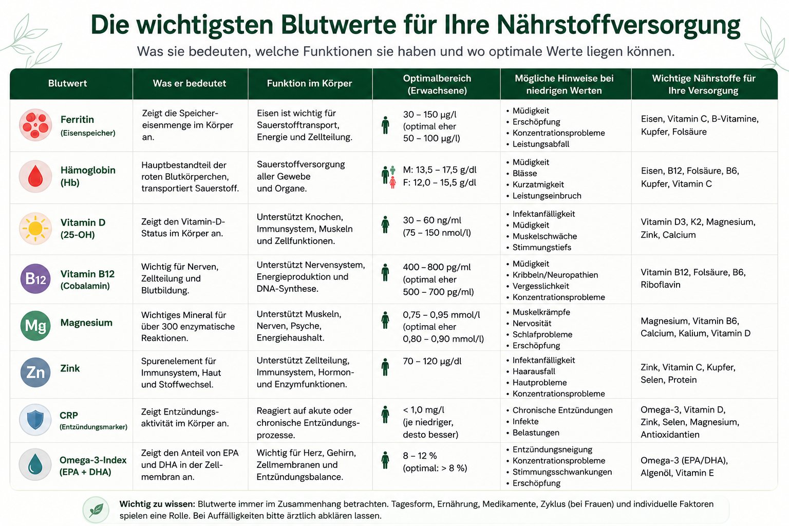 Grafik zu wichtigen Blutwerten und Nährstoffsystemen